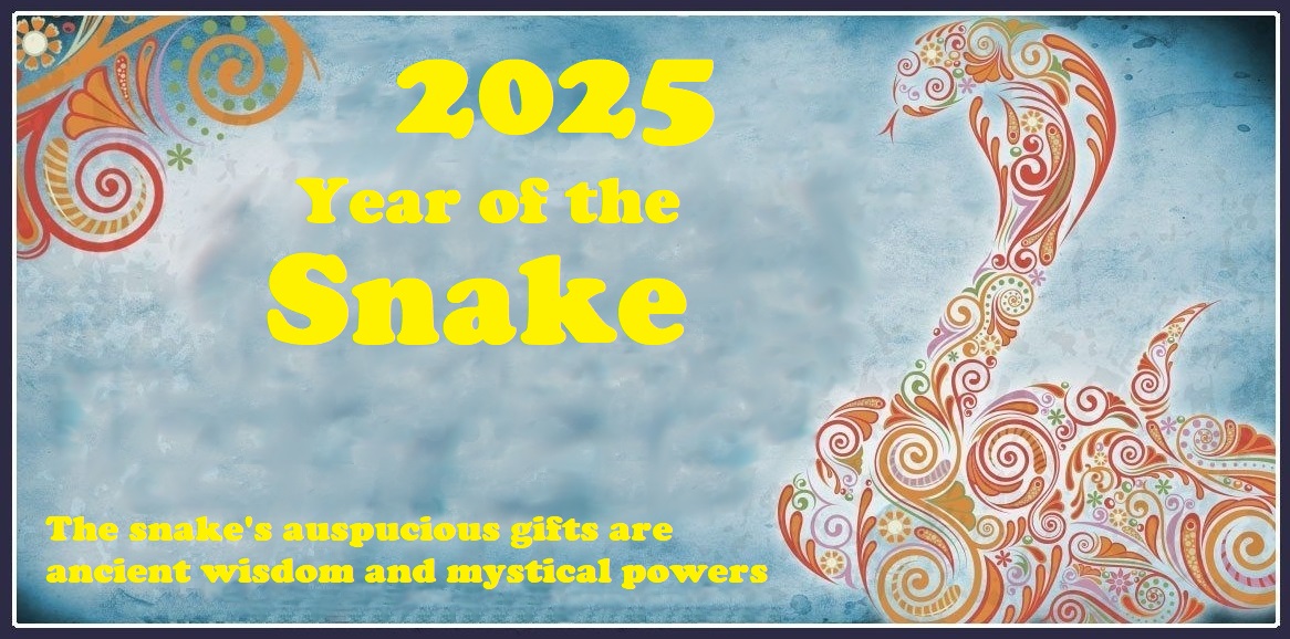 Year of the Snake   