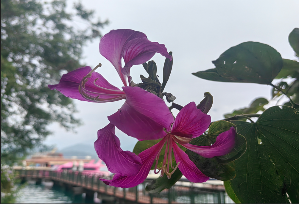 Asia trip 2025 – part 8