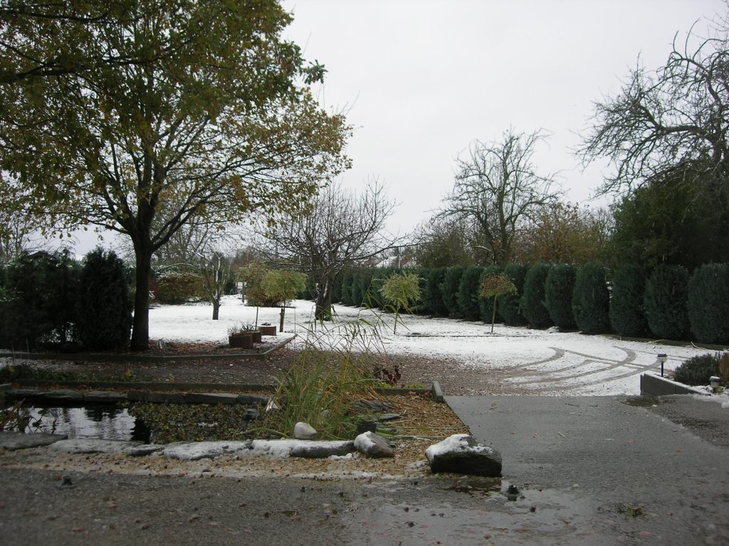 Garden in winter